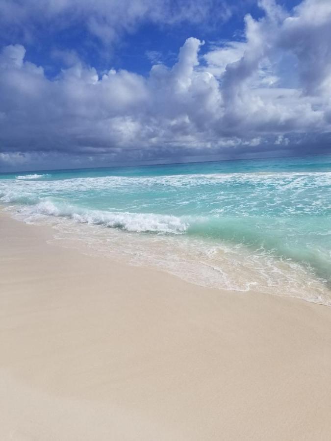 Amazing Caribbean Ocean View At Villas Marlin In Cancún Eksteriør billede